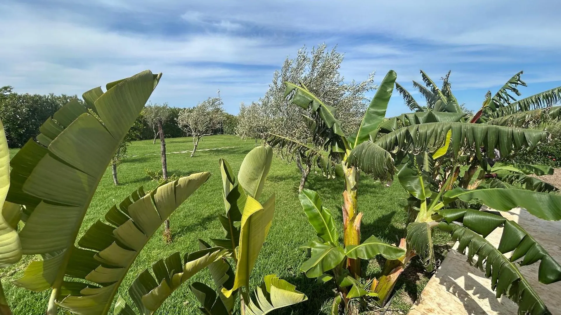 Baglio Il Gelso E L'Ulivo Appartamento Il Carrubo Reitani 0*,